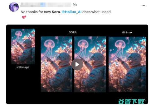 国产视频站,引领潮流，打造视听盛宴的数字家园